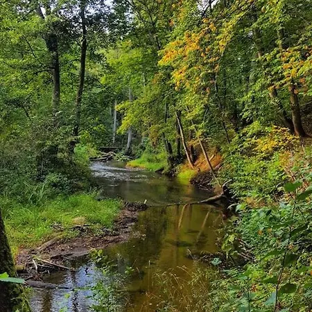 Nyaraló Miedzy Sosnami Bobrownik (Lidzbark)