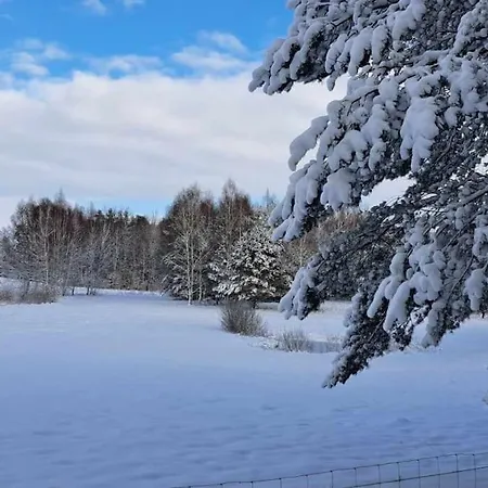 Miedzy Sosnami * Bobrownik (Lidzbark)