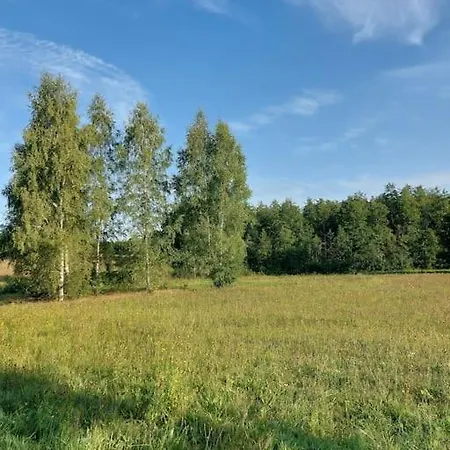 Miedzy Sosnami * Bobrownik (Lidzbark)
