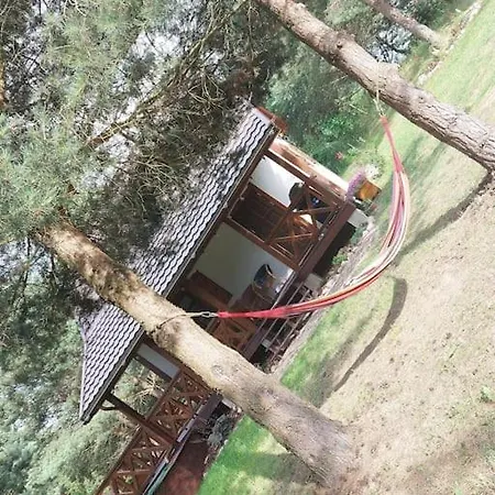 Miedzy Sosnami Nyaraló *