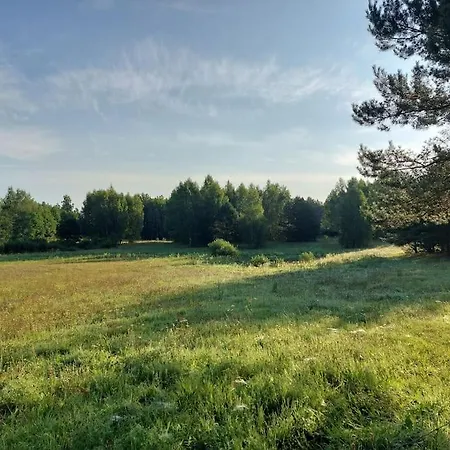Miedzy Sosnami Nyaraló