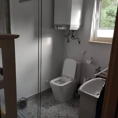 Miedzy Sosnami * Bobrownik (Lidzbark)