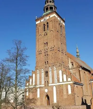 Miedzy Sosnami * Bobrownik (Lidzbark)