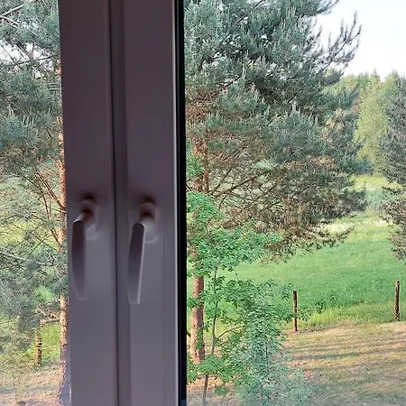 Nyaraló Miedzy Sosnami